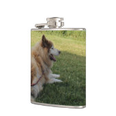 Suka Enjoying Cape George Flachmann (Links)