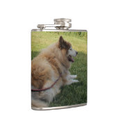 Suka Enjoying Cape George Flachmann (Rechts)