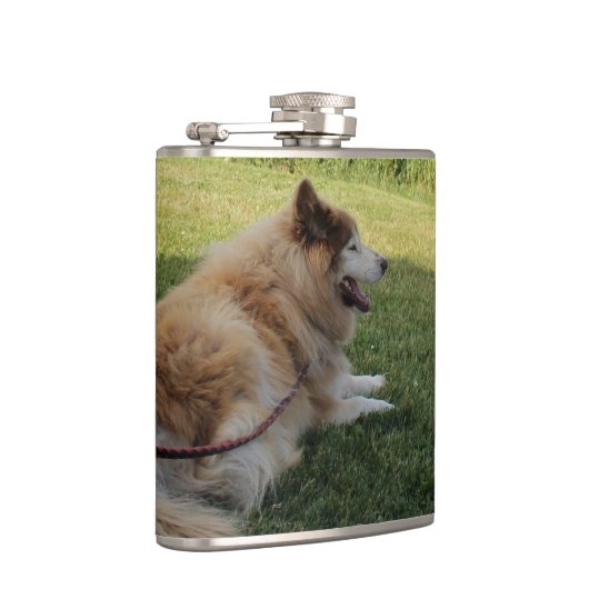 Suka Enjoying Cape George Flachmann (Rechts)