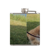 Suka Enjoying Cape George Flachmann (Rückseite)