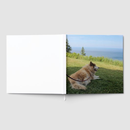 Suka Enjoying Cape George Gästebuch (Voll)