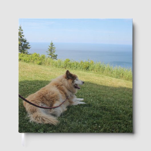 Suka Enjoying Cape George Gästebuch (Vorderseite)