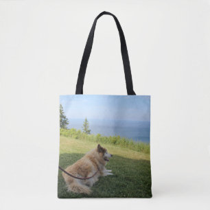 Suka Enjoying Cape George Tasche