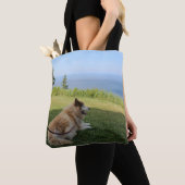Suka Enjoying Cape George Tasche (Von Nahem)