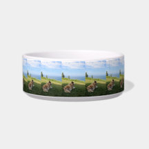 Suka genießen Cape George Pet Bowl