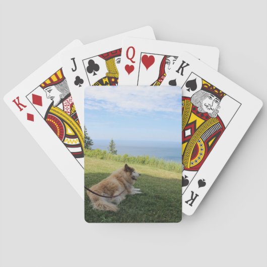 Suka genießt Cape George Spielkarten (Rückseite)