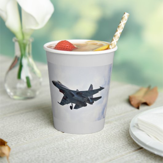 Sukhoi Su-35S Pappbecher (In Situ)