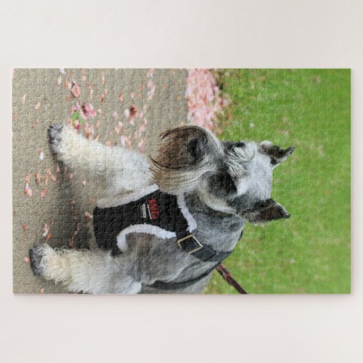 Suki Puzzle (Horizontal)