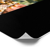 Sukkot Poster (Ecke)