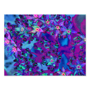 Sukkuläre Blume in Aquamarin, Magenta und Blau Fotodruck