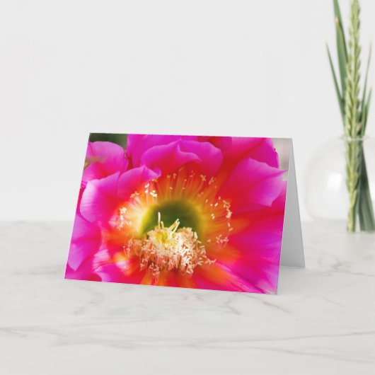 Sukkuläre Blume Makro Karte (Vorderseite)