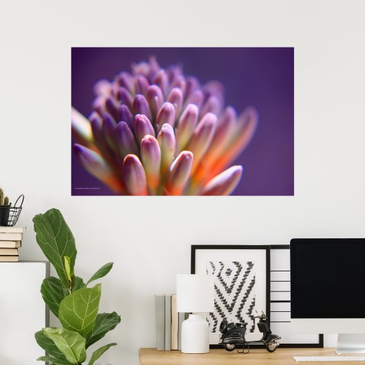 Sukkuläre Blütendrucke Poster (Heimbüro)