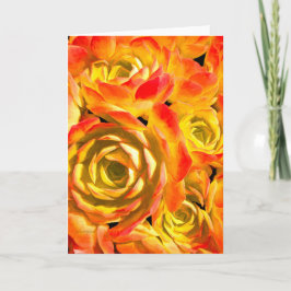 Sukkuläre Echeveria-Pflanze Karte