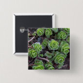 Sukkuläre Fotografie Button (Vorne & Hinten)