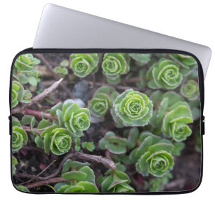 Sukkuläre Fotografie Laptopschutzhülle