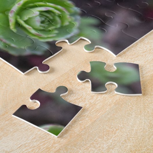 Sukkuläre Fotografie Puzzle (Seite)