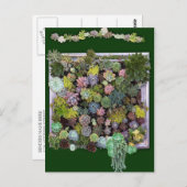 Sukkuläre Gartenwand Postkarte (Vorne/Hinten)