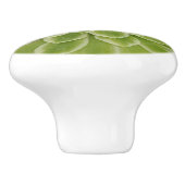 Sukkuläre Keramik Keramikknauf (Seitenansicht)