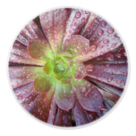 Sukkuläre Keramik Keramikknauf