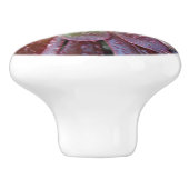 Sukkuläre Keramik Keramikknauf (Seitenansicht)