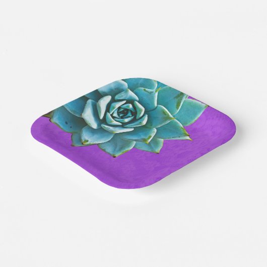 Sukkuläre Lila Wasserfarbe Pappteller (Gewinkelt)