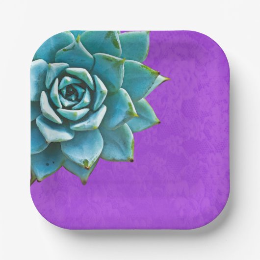 Sukkuläre Lila Wasserfarbe Pappteller (Vorderseite)