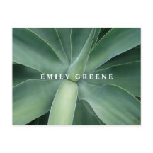 Sukkuläre Notecards