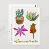 Sukkuläre Pflanze Farbige Bleistiftzeichnungen Pos Postkarte (Vorne/Hinten)