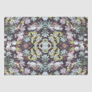 Sukkuläre Pflanze Foto Muster Seidenpapier