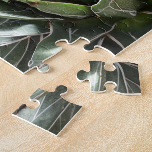 Sukkuläre Pflanze Fotografie Puzzle (Seite)