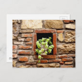Sukkuläre Pflanze in einer Ziegelmauer Postkarte (Vorne/Hinten)
