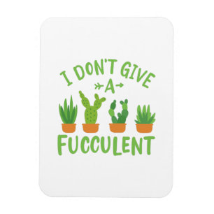 Sukkuläre Pflanze Magnet