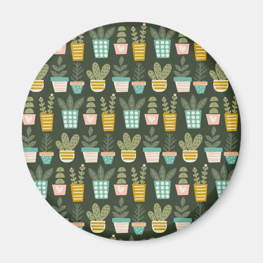 Sukkuläre Pflanze Magnet (Vorne)