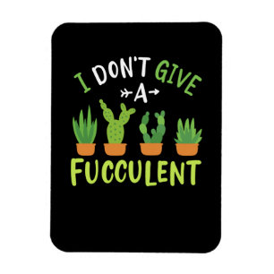 Sukkuläre Pflanze Magnet