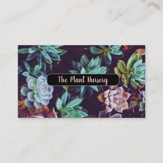 Sukkuläre Pflanze Schwarze Visitenkarte (Vorderseite)