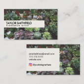 Sukkuläre Pflanze und Blumengarten Visitenkarte (Vorne/Hinten)