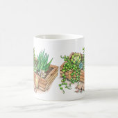 Sukkuläre Planterbox Kaffeetasse (Mittel)