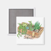 Sukkuläre Planterbox Magnet (Vorderseite/Rückseite)