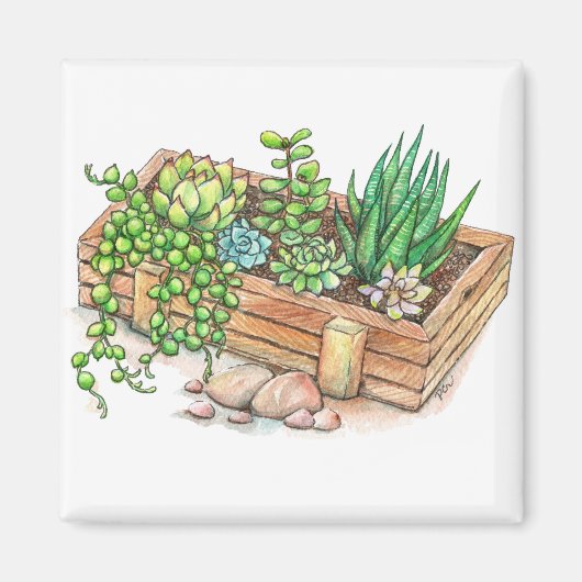 Sukkuläre Planterbox Magnet (Vorne)