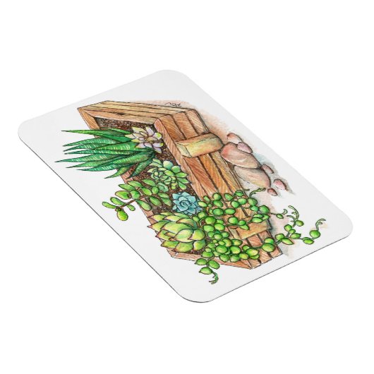 Sukkuläre Planterbox Magnet (Rechte Seite)