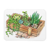 Sukkuläre Planterbox Magnet (Horizontal)
