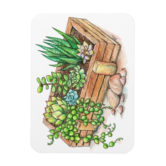 Sukkuläre Planterbox Magnet (Vertikal)