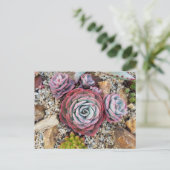Sukkuläre Postkarte (Stehend Vorderseite)