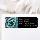 Sukkuläre Schließung (Insitu)