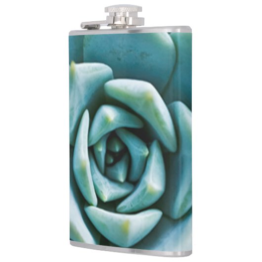 Sukkuläre Schließung Flachmann (Links)