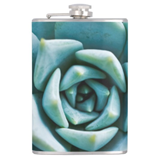 Sukkuläre Schließung Flachmann (Vorderseite)