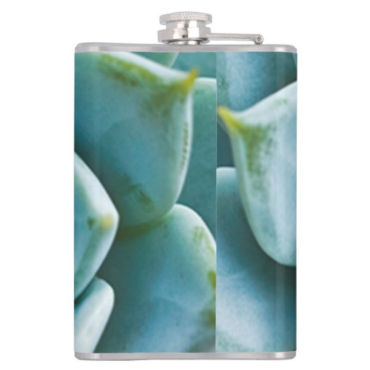 Sukkuläre Schließung Flachmann (Rückseite)