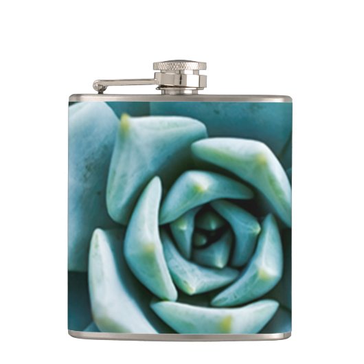 Sukkuläre Schließung Flachmann (Vorderseite)