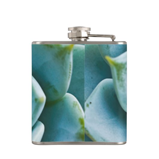 Sukkuläre Schließung Flachmann (Rückseite)