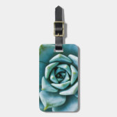 Sukkuläre Schließung Gepäckanhänger (Vorderseite vertikal)